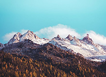 开云官网-库兹马不关心续约进程 新赛季专注于提升防守